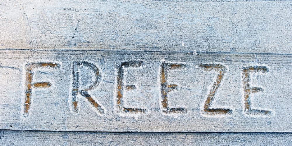 freeze-written-on-a-wooden-background-with-frosts-2025-02-11-01-22-42-utc (1) (1) (1) freeze-written-on-a-wooden-background-with-frosts-2025-02-11-01-22-42-utc (1) (1) (1)